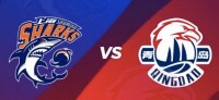 🏀青岛vs上海前瞻:杨瀚森对决王哲林 谁能夺得季前赛收官胜利?