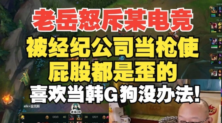 老岳怒斥真实电竞被人当枪使:屁股都是歪的,喜欢当韩国狗没办法